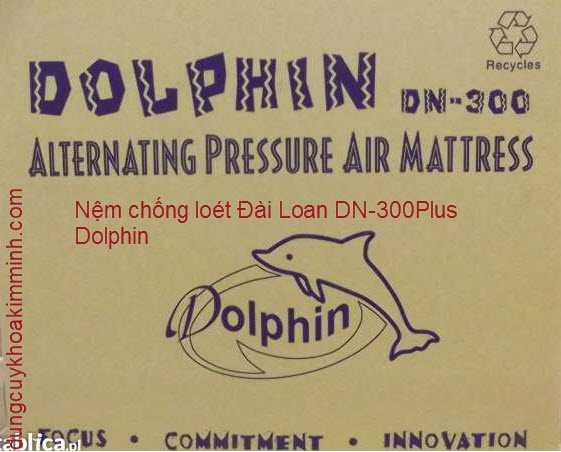 Nệm chống loét Đài Loan DN-300Plus Doplphin Kim Minh
